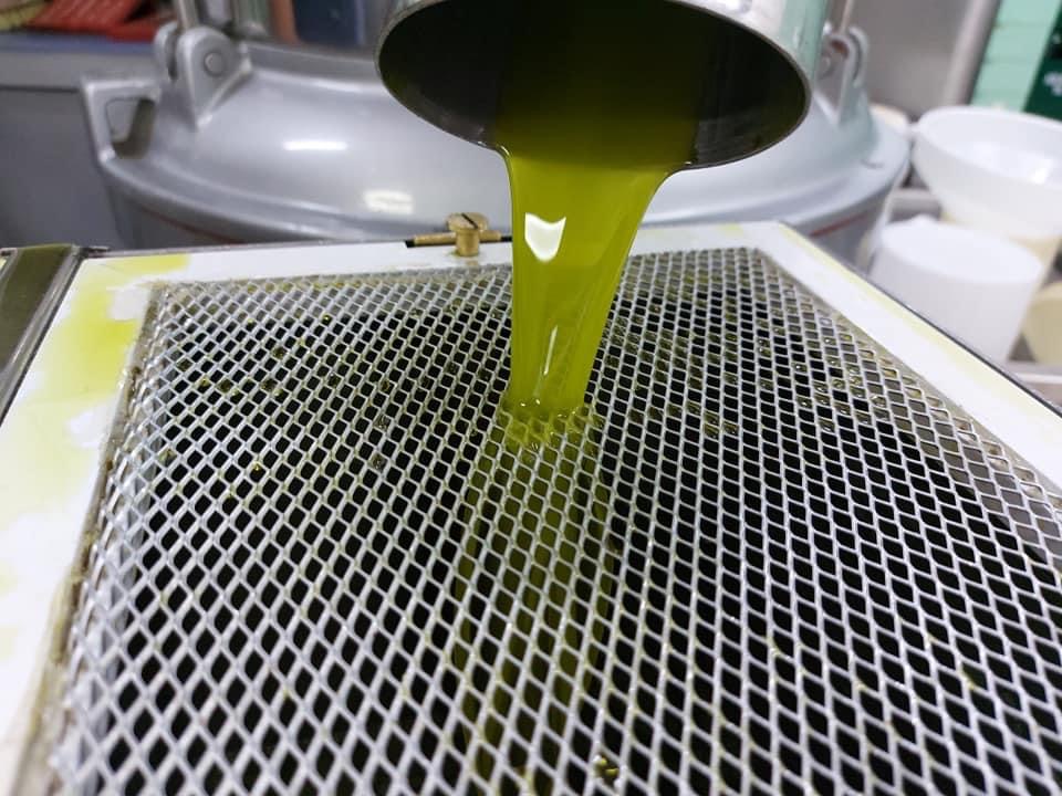 Olio nuovo appena estratto con il metodo Sinolea, Tenute Martino
