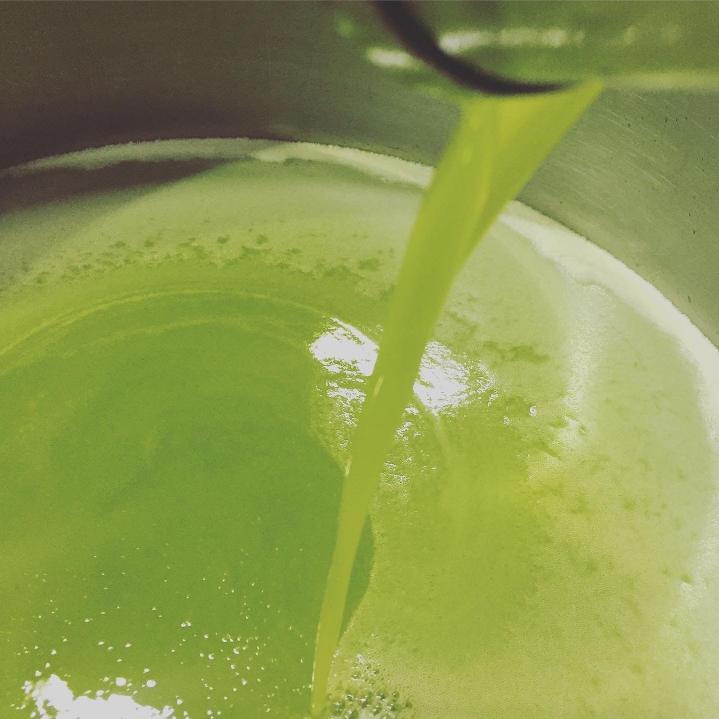 Olio nuovo verde appena estratto nel frantoio