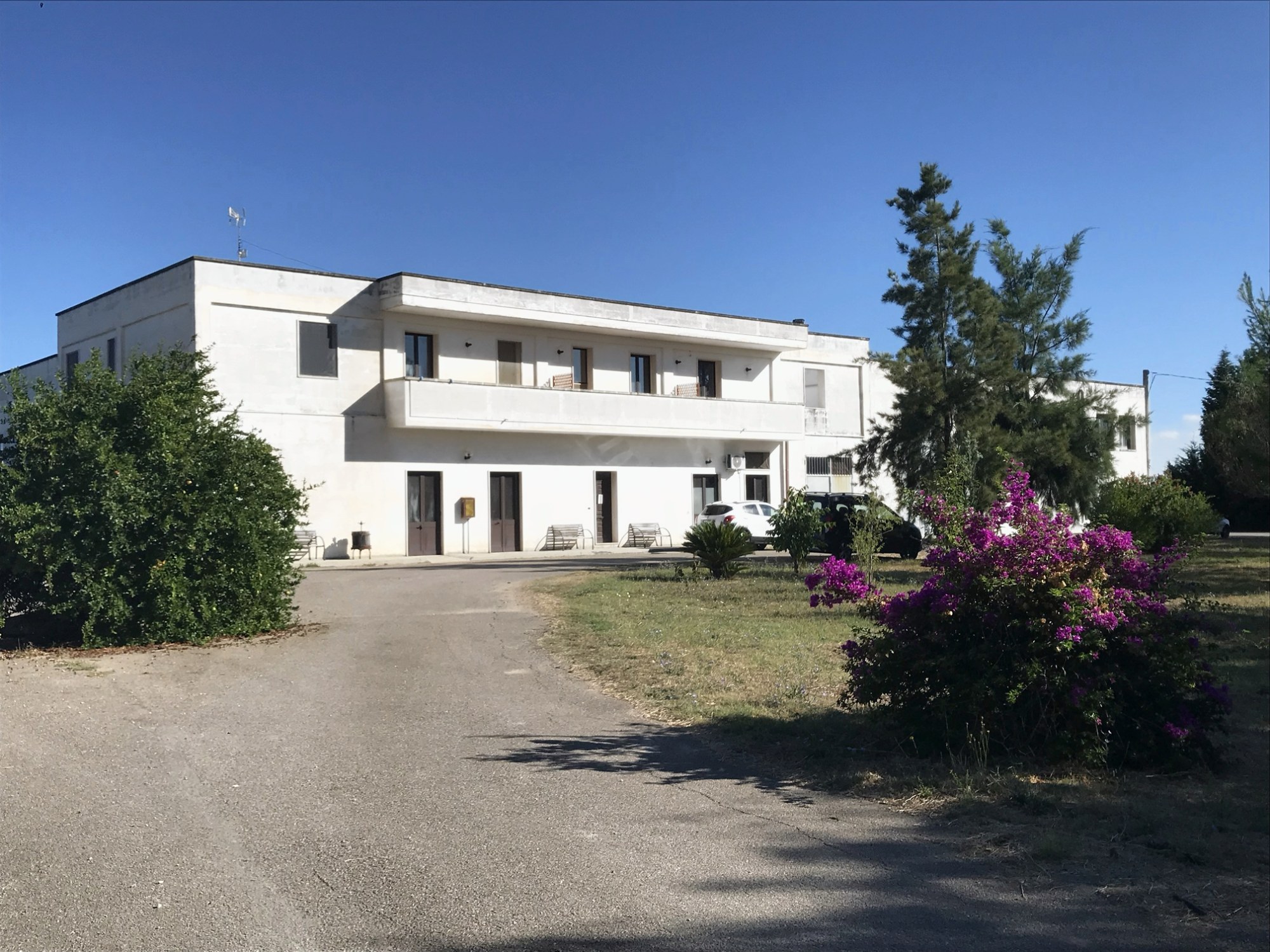 La sede di Copertino con la buganvillea in fiore